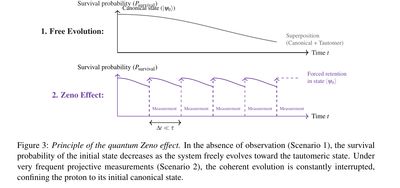 Principle of the quantum Zeno effect: free evolution versus repeated projective measurements, with the algorithm's mathematical formalization